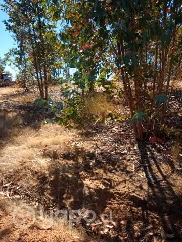 Vendo hermosa parcela de agrado en paredones