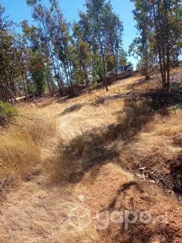 Vendo hermosa parcela de agrado en paredones