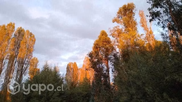 Terreno a 15 minutos de linares en Putagan 1.5 Ha