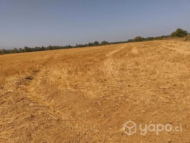 Parcela de 7 has cerca a Panimávida