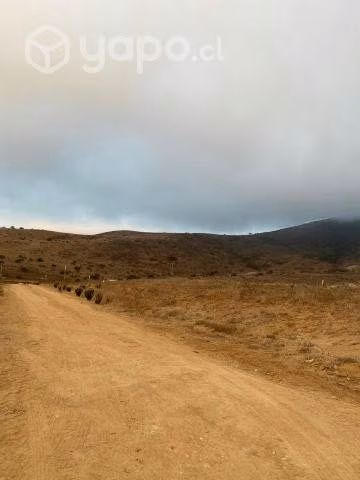 Terrenos En Fundo los Quillayes