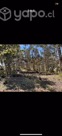 Hermosa parcela en LLOICURA a 25 minutos de Tome - Imagen 3