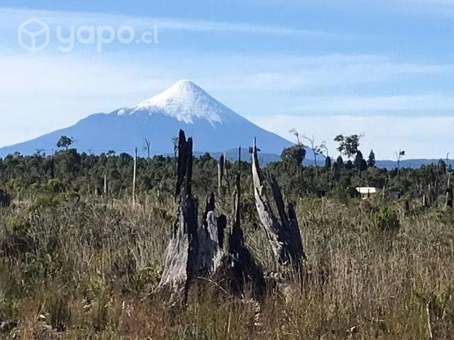 Hermosa Parcela Puerto Varas - Camino Ensenada - Imagen 15
