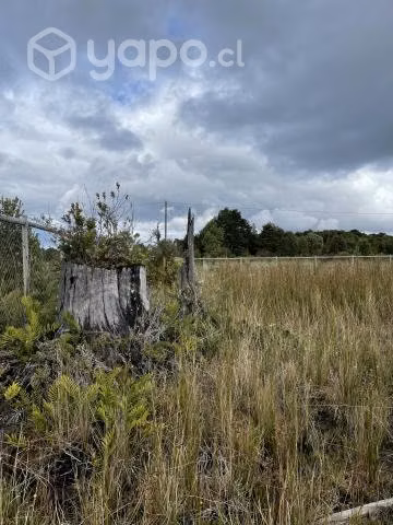 Hermosa Parcela Puerto Varas - Camino Ensenada - Imagen 9
