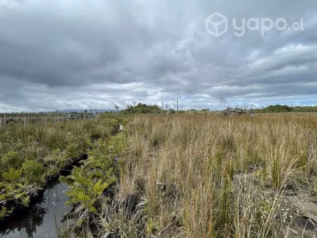 Hermosa Parcela Puerto Varas - Camino Ensenada - Imagen 12