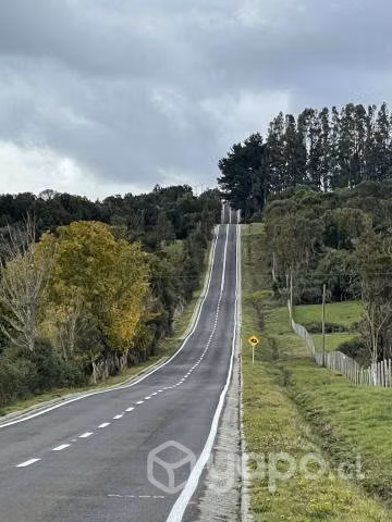 Hermosa Parcela Puerto Varas - Camino Ensenada - Imagen 2