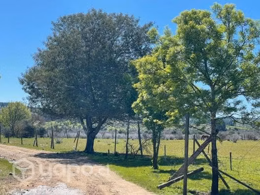 Parcela Plana en Cauquenes