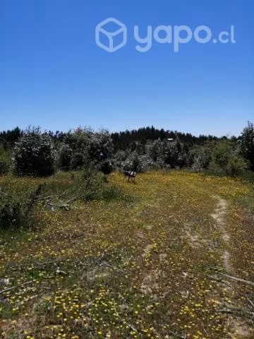 Parcela en chudal