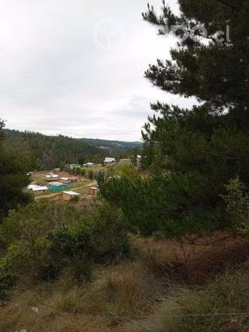 Barrancas sector Cahuil Pichulemu - Imagen 7
