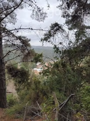 Barrancas sector Cahuil Pichulemu - Imagen 6