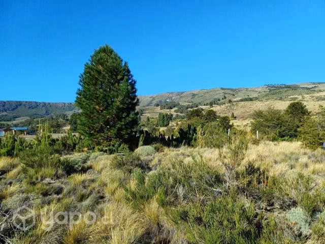 Terreno cordillerano cerca lonquimay - Imagen 10