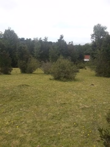 Se vende campo de 18 hectáreas