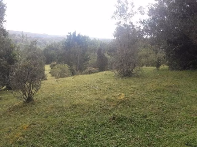 Se vende campo de 18 hectáreas