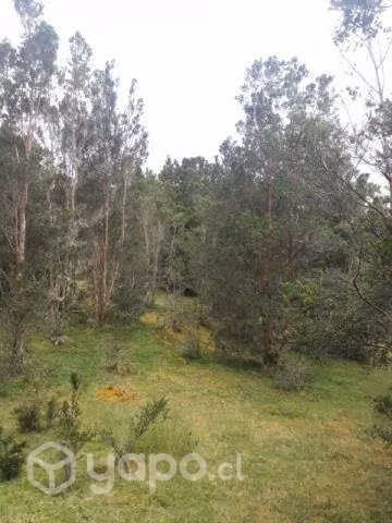Se vende campo de 18 hectáreas