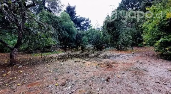 Se vende parcela sector licanco padre las casas