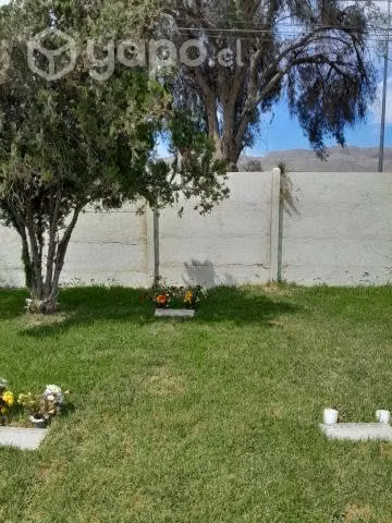 Nicho En Parque Del Recuerdo Copiapo
