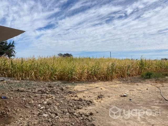 Terreno en Parral 3Ha con vivienda de 120m2