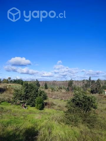 Parcela de agrado con casa cerca de Chillán - Imagen 2