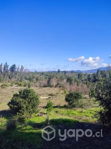 Parcela de agrado con casa cerca de Chillán - Imagen 3