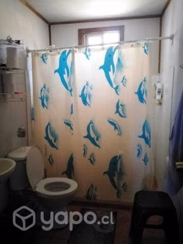 VENDO PARCELA CON CASA SAN CARLOS ÑUBLE 7.600m2 - Imagen 14