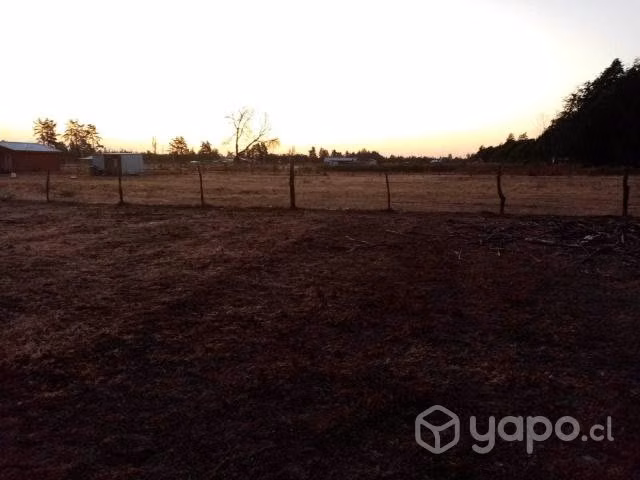 Terreno 5000 m2 - Imagen 3