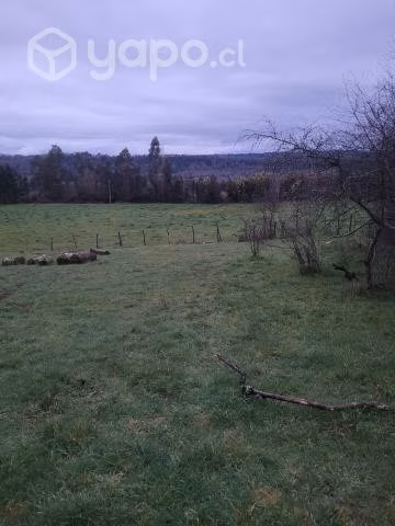 Vendo terreno