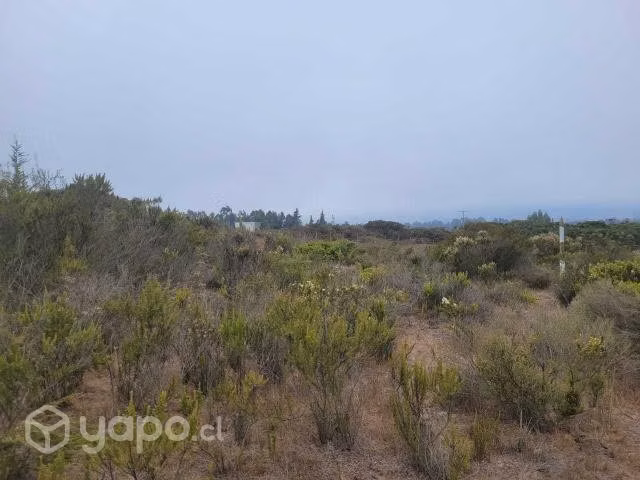 Oferta terreno 1000 mts con rol propio puchuncavi