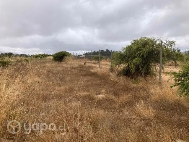 Parcela 10.000 m2 en Cond. La Foresta de Zapallar