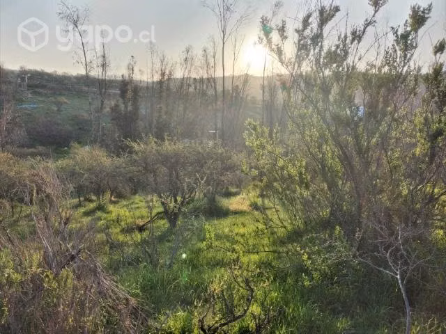 Parcela en Cajón de Lebu - Imagen 5