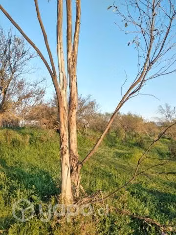 Parcela en Cajón de Lebu - Imagen 8