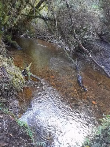 Parcela en Detico, Queilen, Provincia de Chiloe