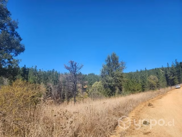 Vendo terreno a 10 minutos de Playa Bucalemu
