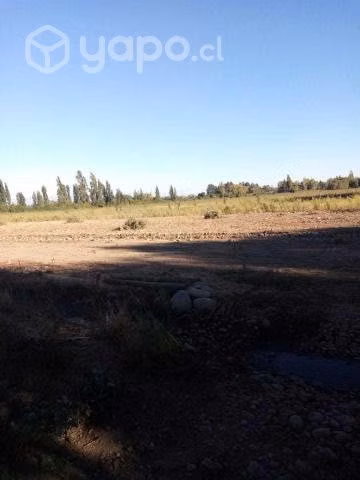 Arriendo terreno para cultivo, en Talca