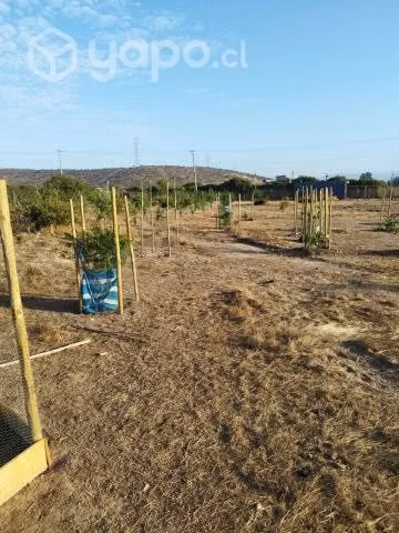 Terreno condominio "Valle de Limache" 5.000 m2 - Imagen 11