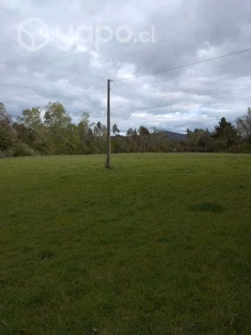 Se Venden 7,8 Hectareas en Pitrufquen - Imagen 20