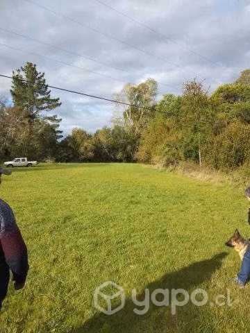 Se Venden 7,8 Hectareas en Pitrufquen - Imagen 7
