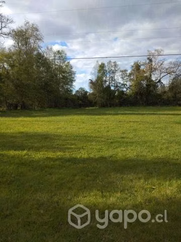 Se Venden 7,8 Hectareas en Pitrufquen - Imagen 19