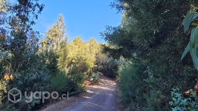 Se vende parcela 1,043 Hectarea Camino a Florida - Imagen 12
