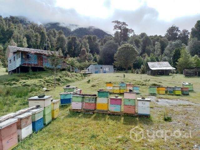 Vendo predio en sector zargaso - Imagen 6