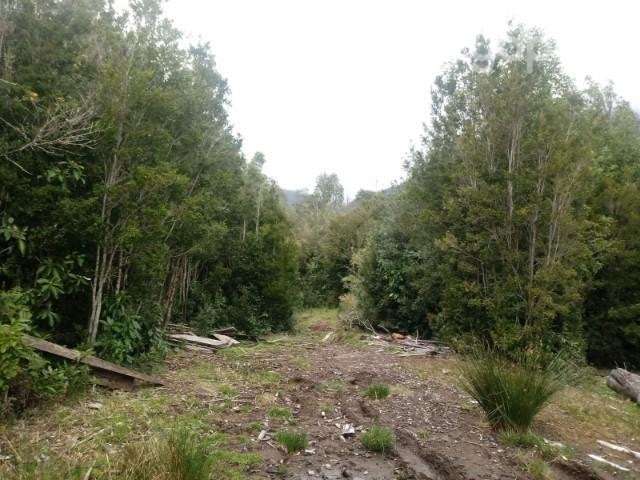 Vendo parcelas de 5000mts2 hacia arriba - Imagen 15