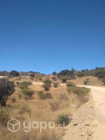 Sitio