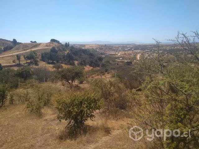 Sitio
