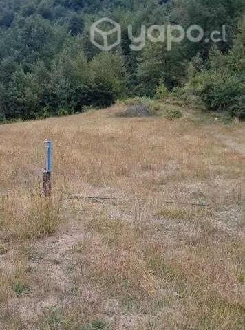 Se vende Parcela de 2 hectáreas - Imagen 6