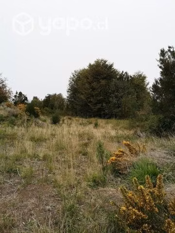 Vendo parcela de 7900mt2 chiloe-castro