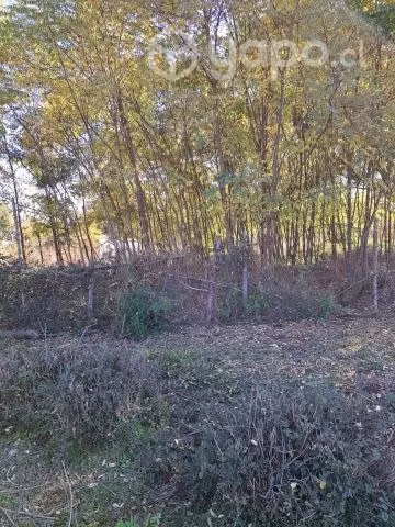 Parcela de agrado