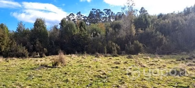 VENTA TERRENO 3.7 hec PAILDAD, CHILOÉ