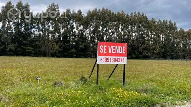 Terreno urbanizado frutillar
