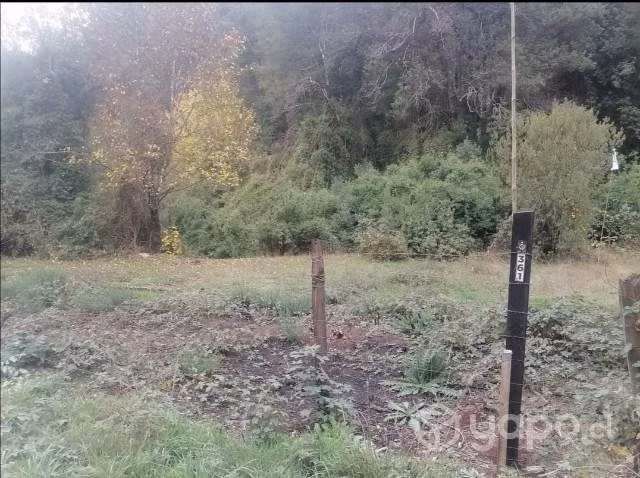 Terreno - Imagen 2