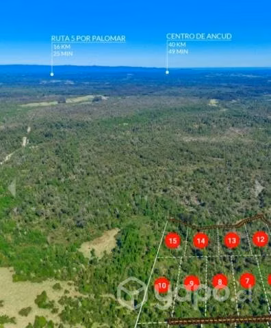 Vende Dueña Parcela de 5000mt2 con Rol propio en I - Imagen 3
