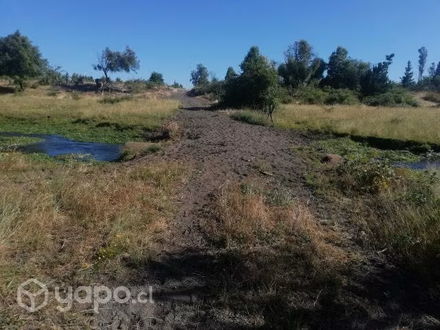 Hermoso campo camino a Antuco, Sur de Chile